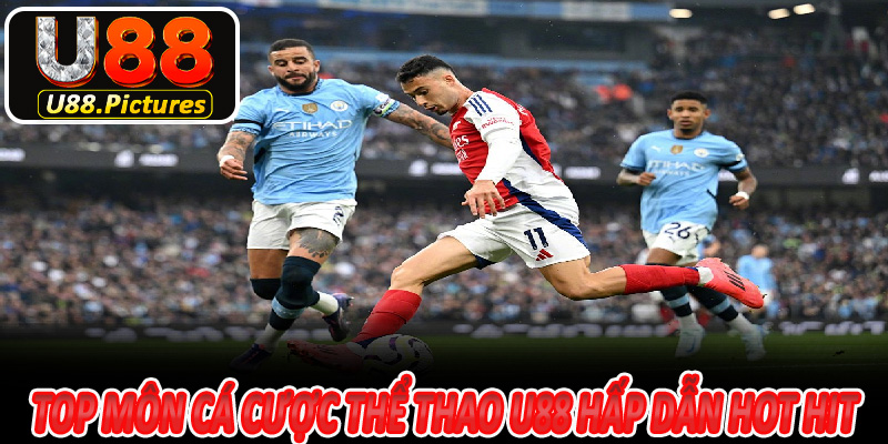 Top môn cá cược thể thao U88 hấp dẫn hot hit